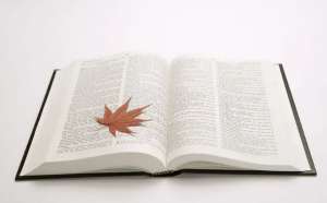 規(guī)劃網(wǎng)站關鍵詞的7個流程